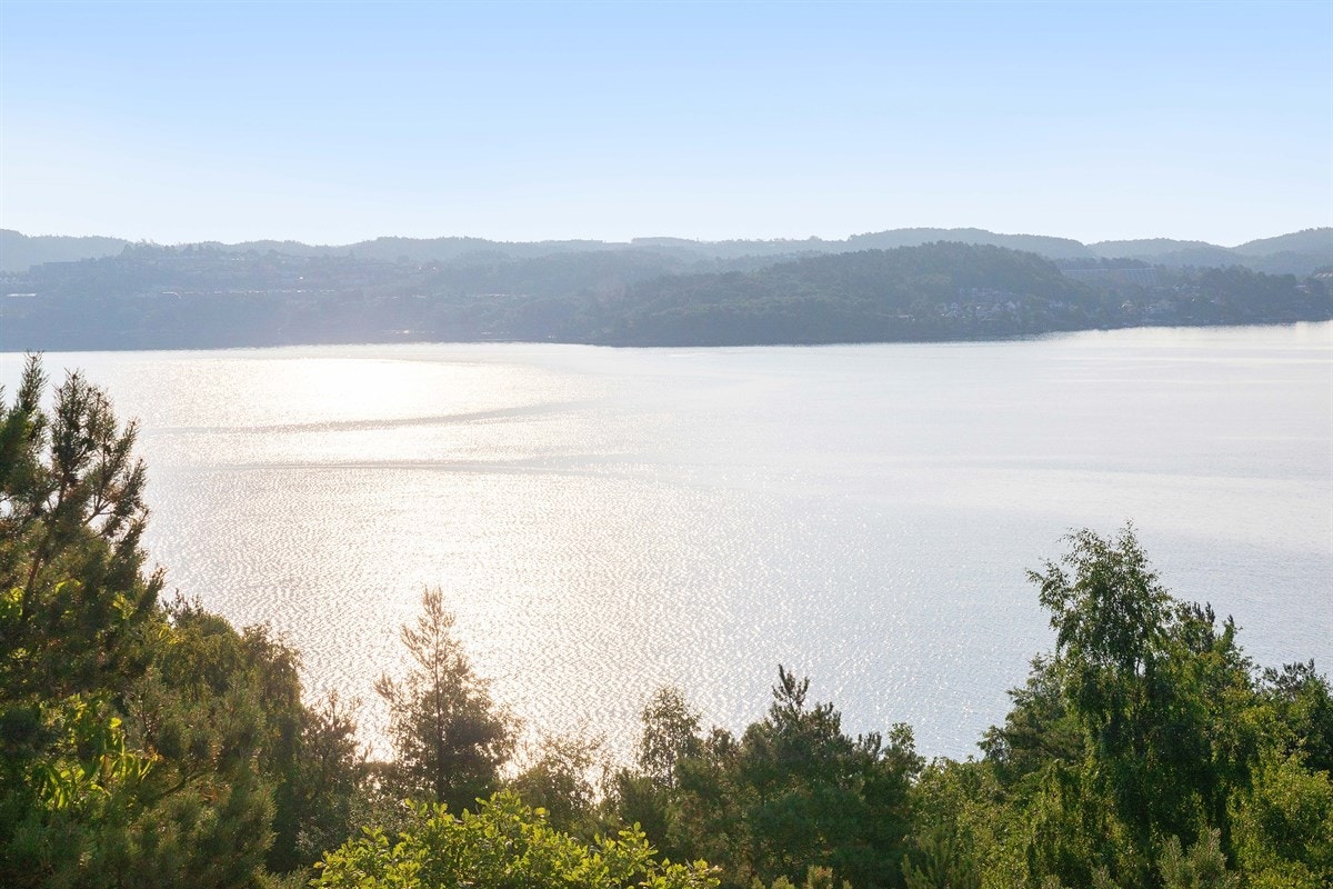 Uteområde Galleribilde