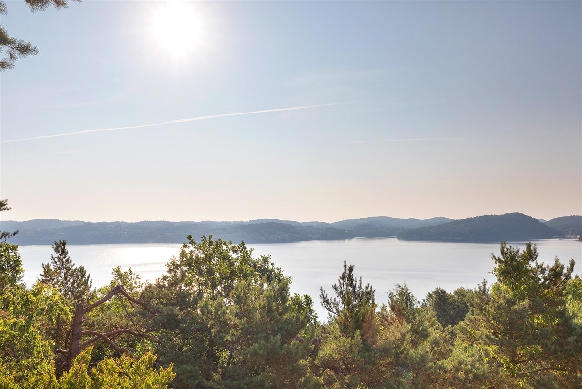 Uteområde Galleribilde