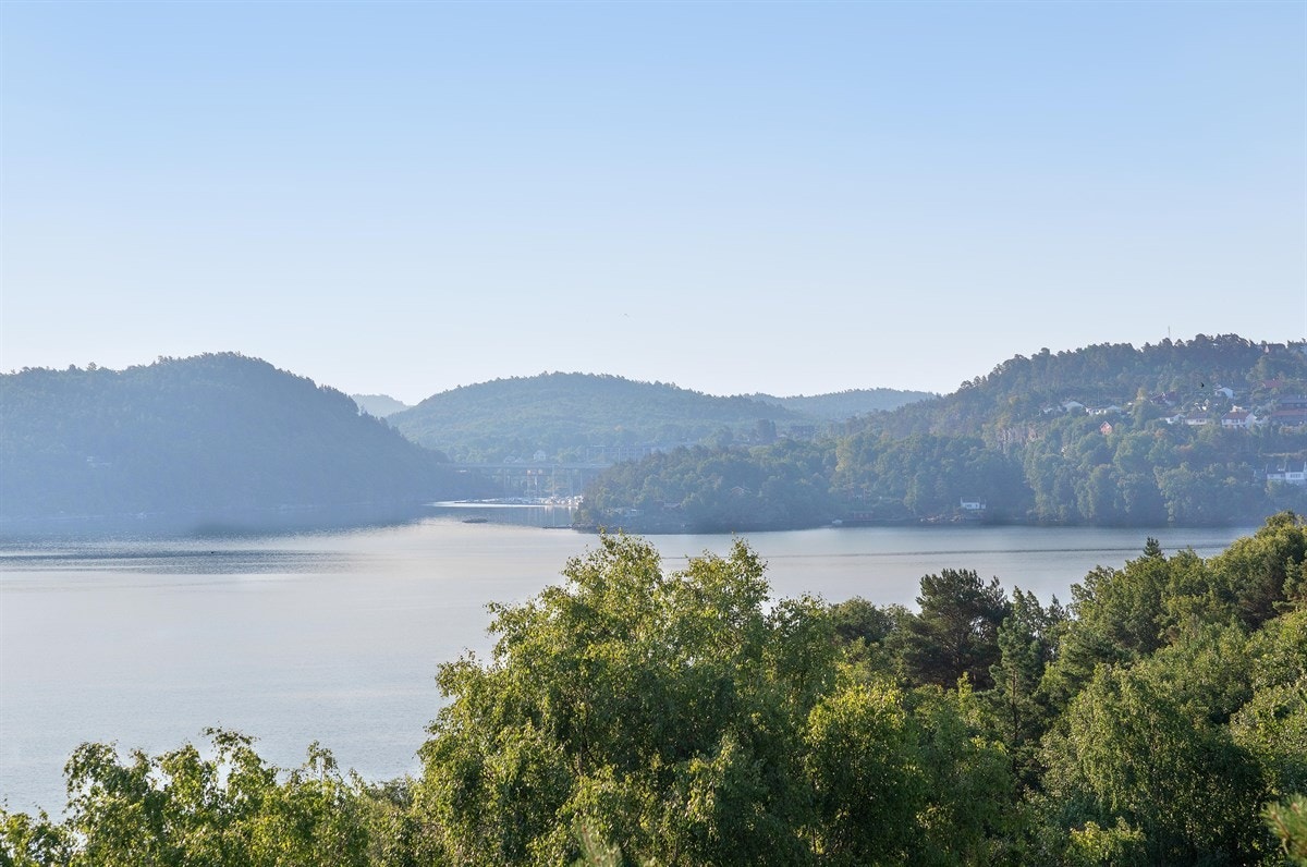 Uteområde Galleribilde