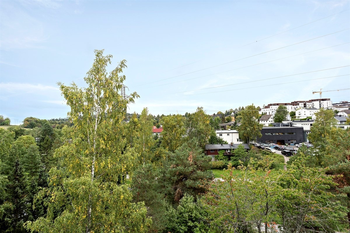 Balkongen ligger usjenert til og vender mot fine grøntområder. Galleribilde