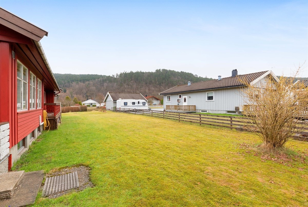 Fin plen Galleribilde