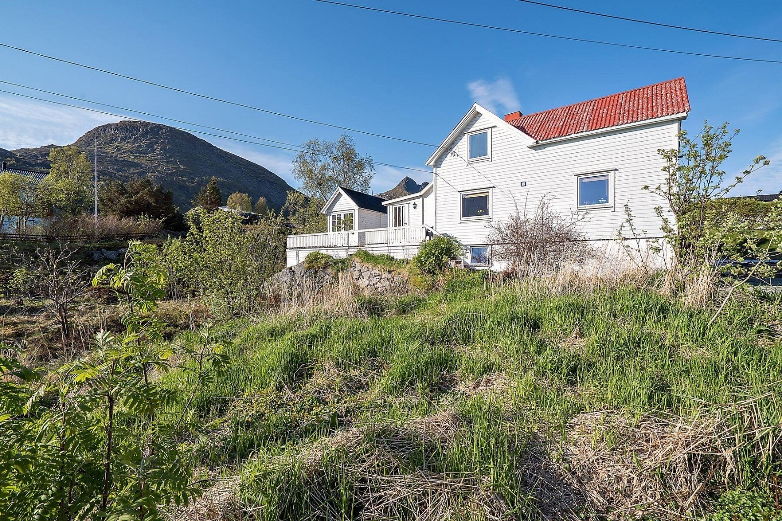 naturtomt Galleribilde