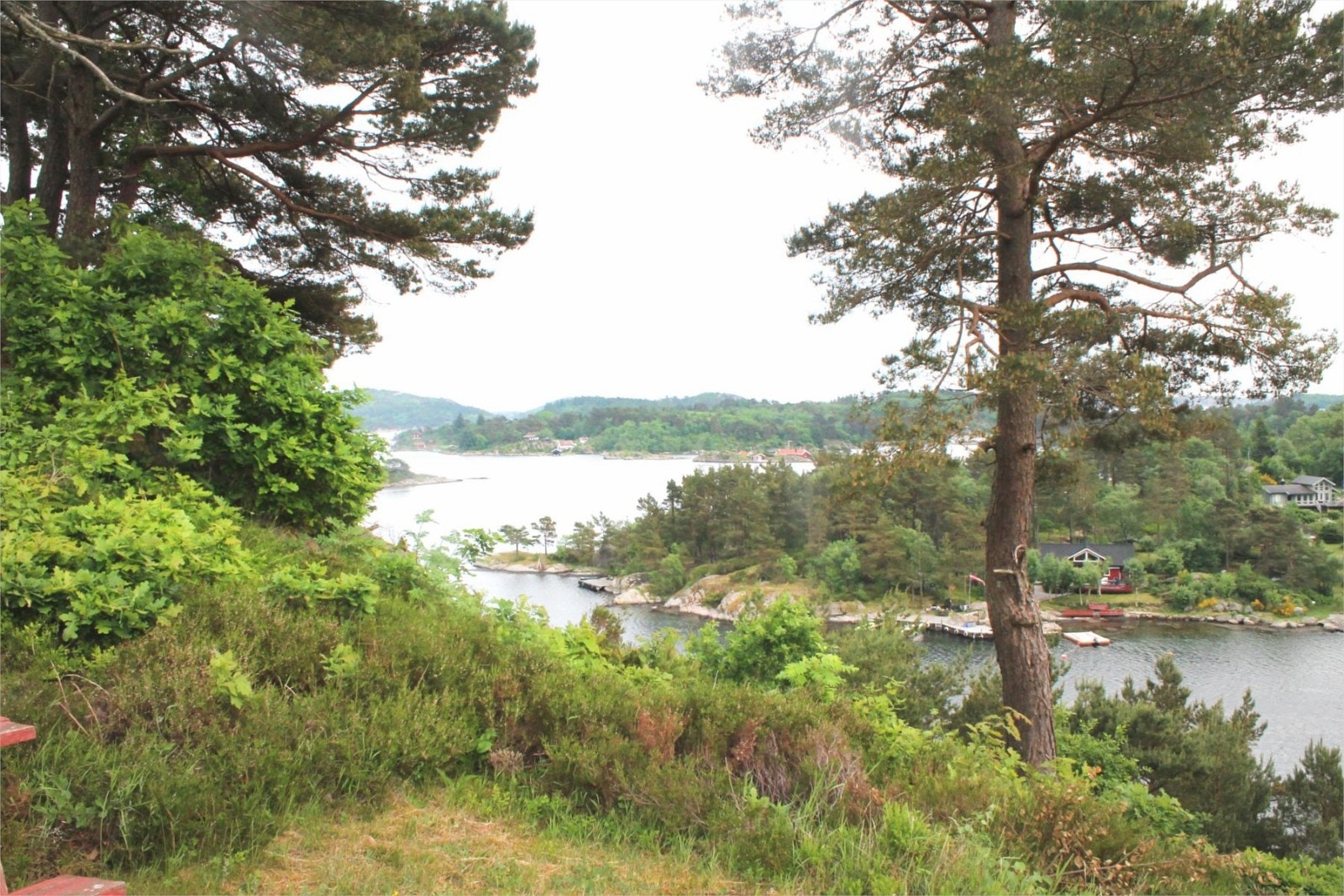 Utsikt mot øst Galleribilde