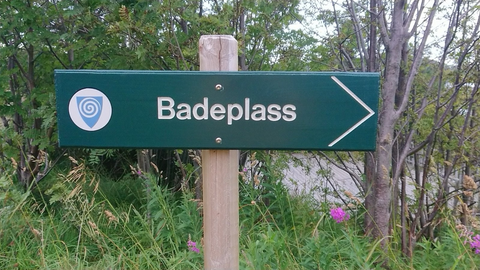 lysløype/gangsti rundt hele Sørvågvatnet, til små og lengre nydelige turområder! Galleribilde