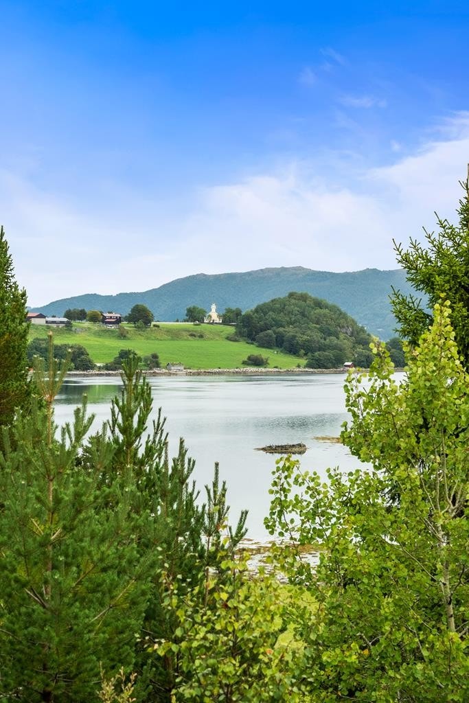 Flott utsikt Galleribilde