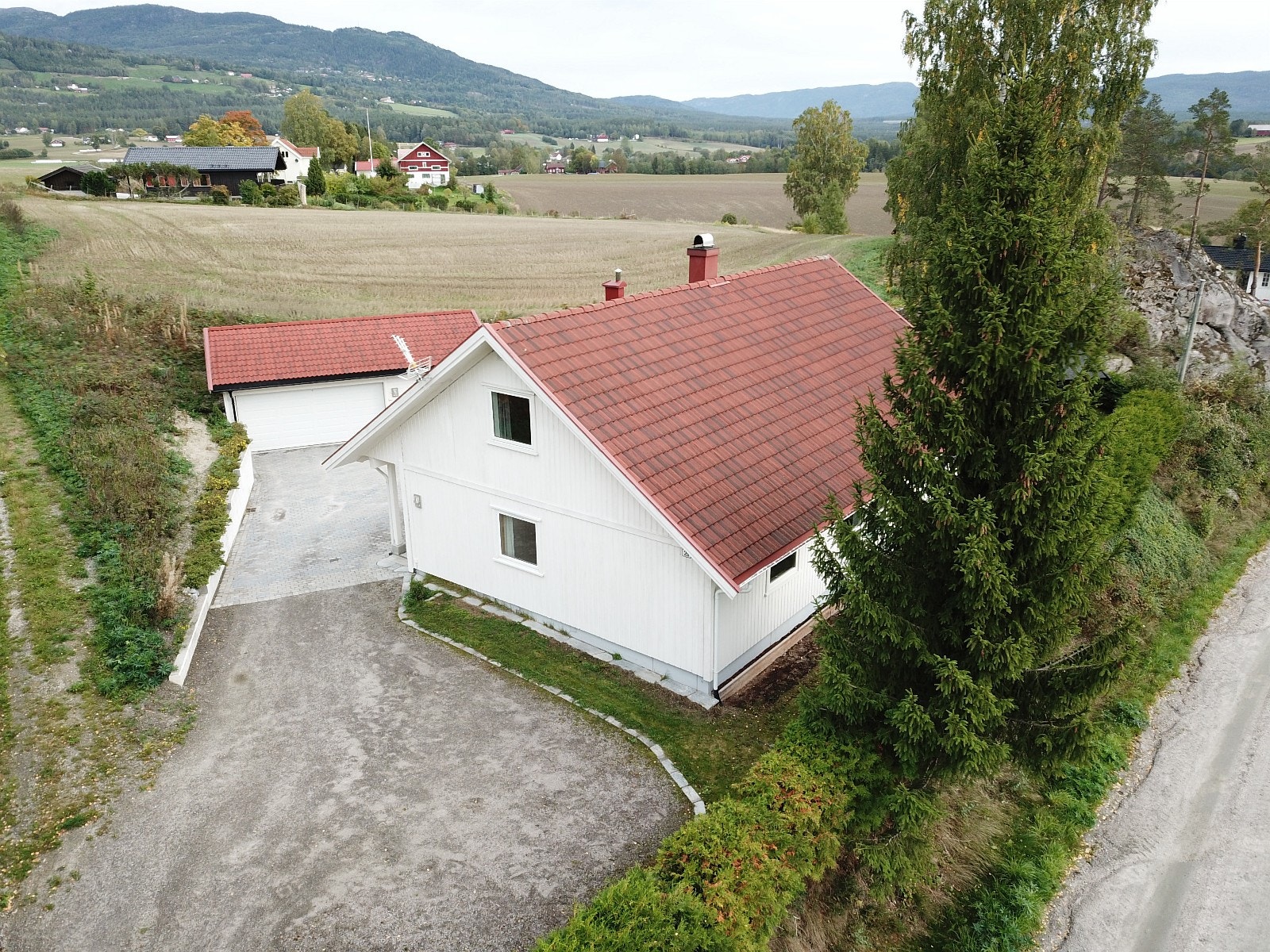 Fra plensiden Galleribilde