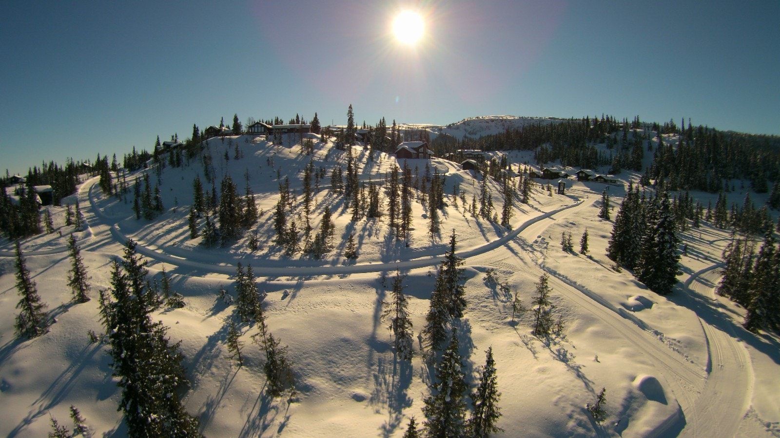 Tomteområdet delfelt 12 Galleribilde
