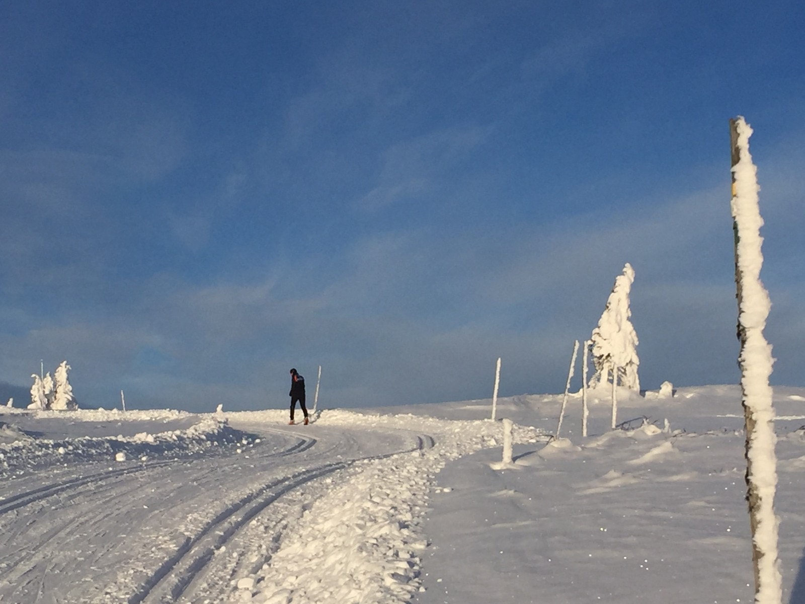 Ut på skitur Galleribilde