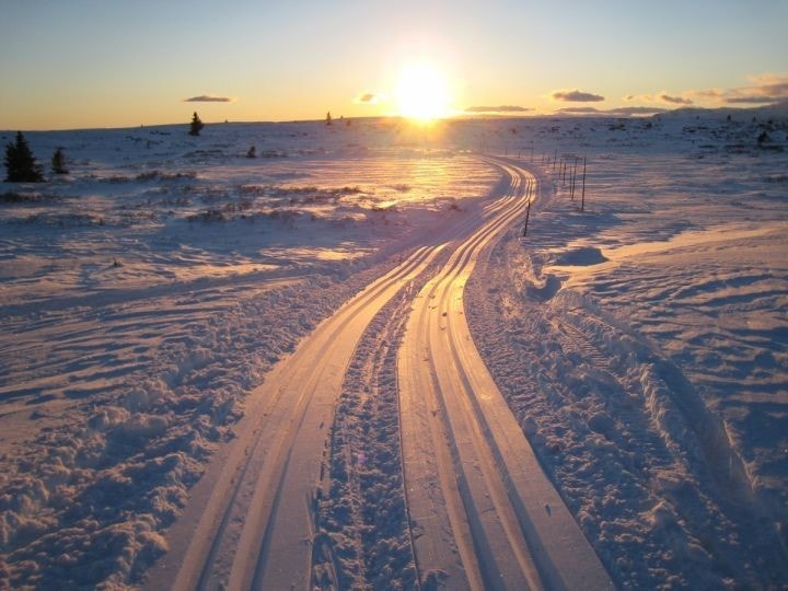 Skistemning i vinterfjellet Galleribilde