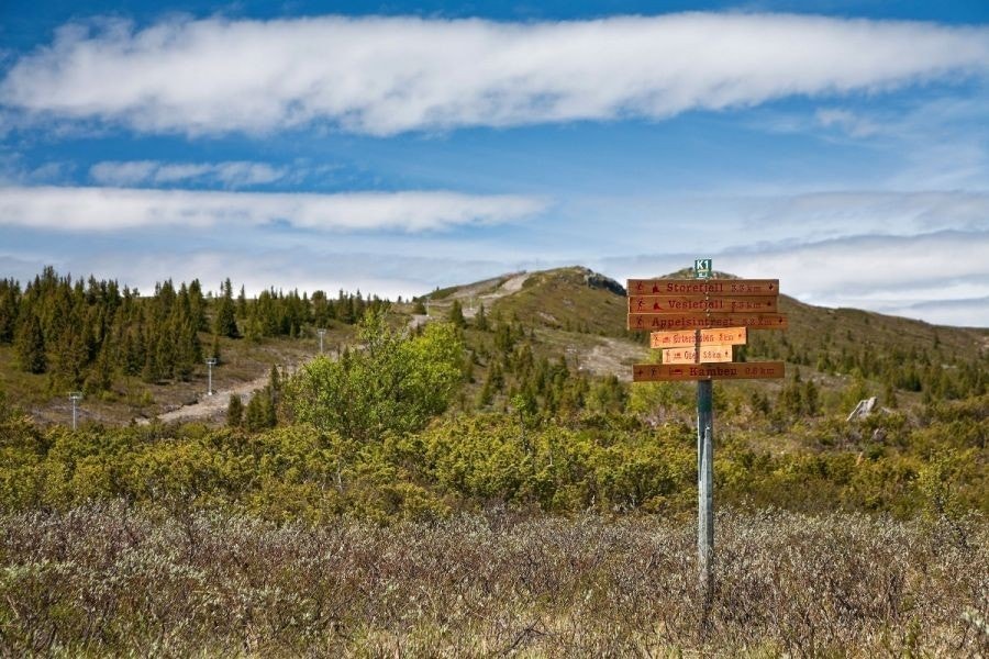 Turmuligheter Galleribilde