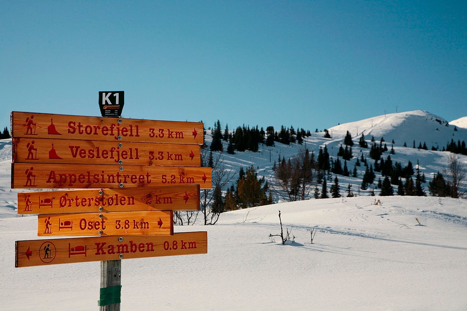 Skiløyper i nærområdet Galleribilde