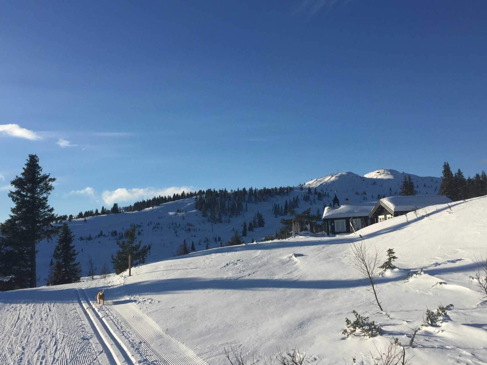 Skiløype i hyttefeltet Galleribilde