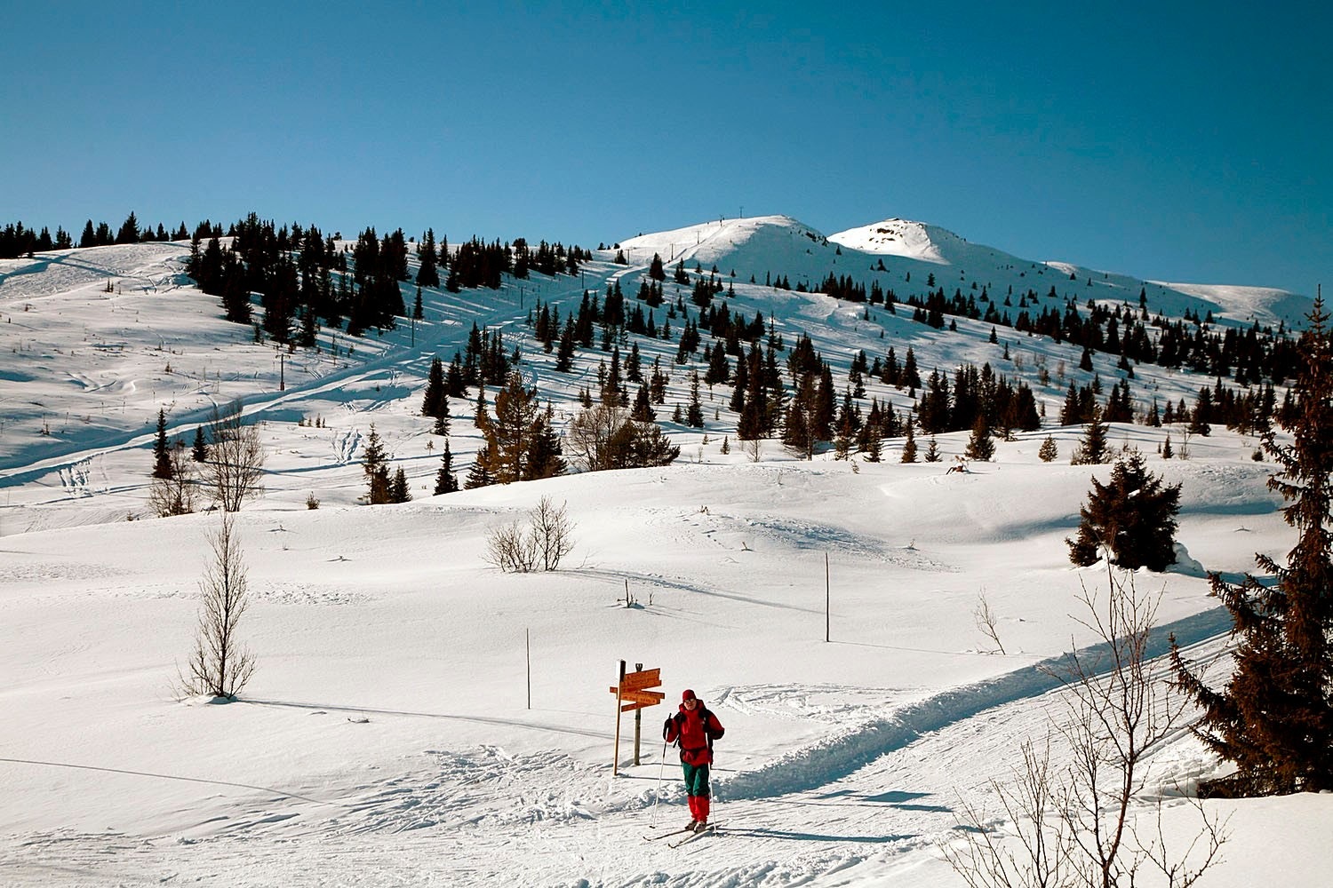 Skiløype ved alpinbakken Galleribilde