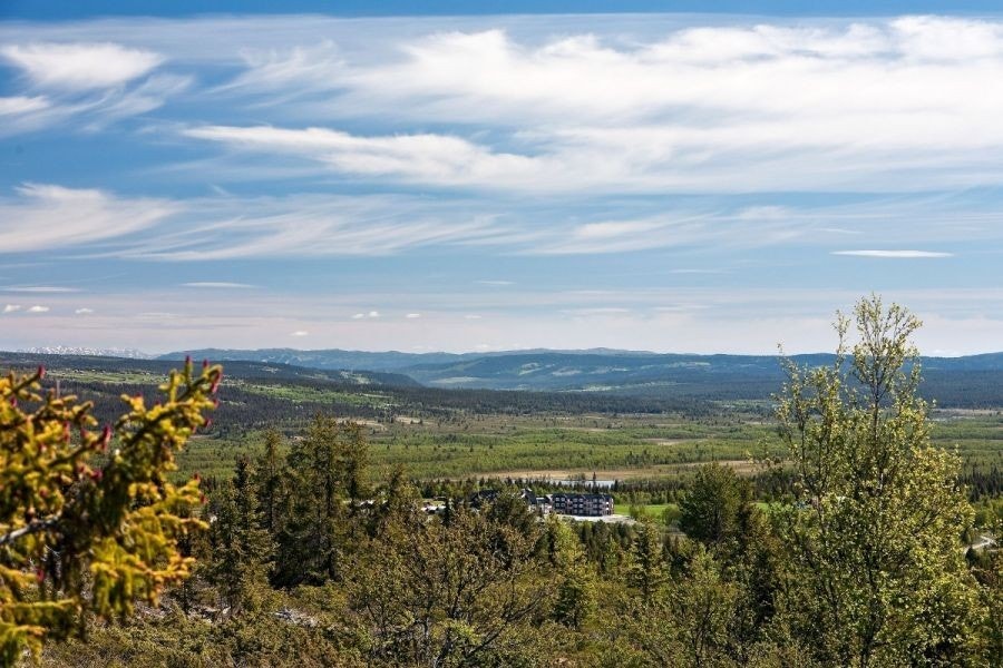 Eksempel på utsikt fra feltet Galleribilde