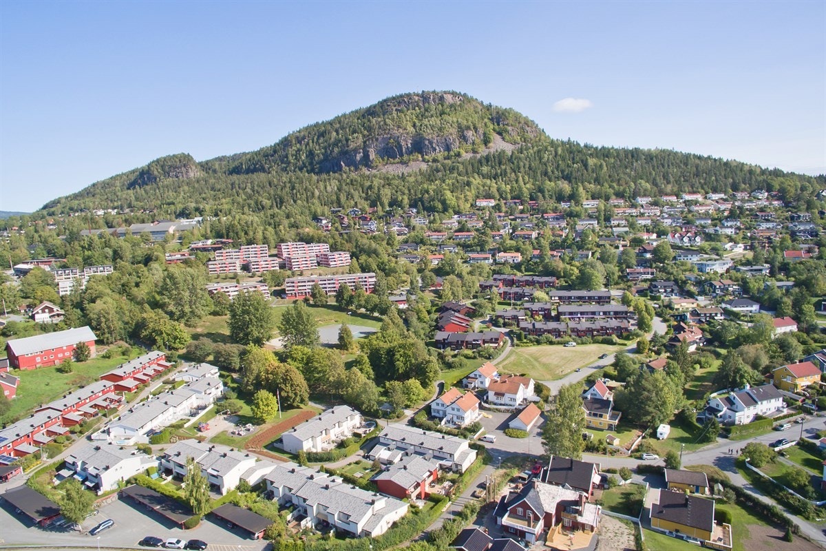 Kolsåstoppen i bakgrunnen Galleribilde