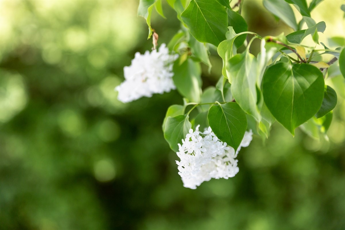Proaktiv Eiendomsmegling Galleribilde