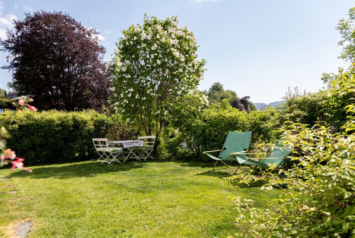 Proaktiv Eiendomsmelging - Nyt de vakre sommerdager! Galleribilde