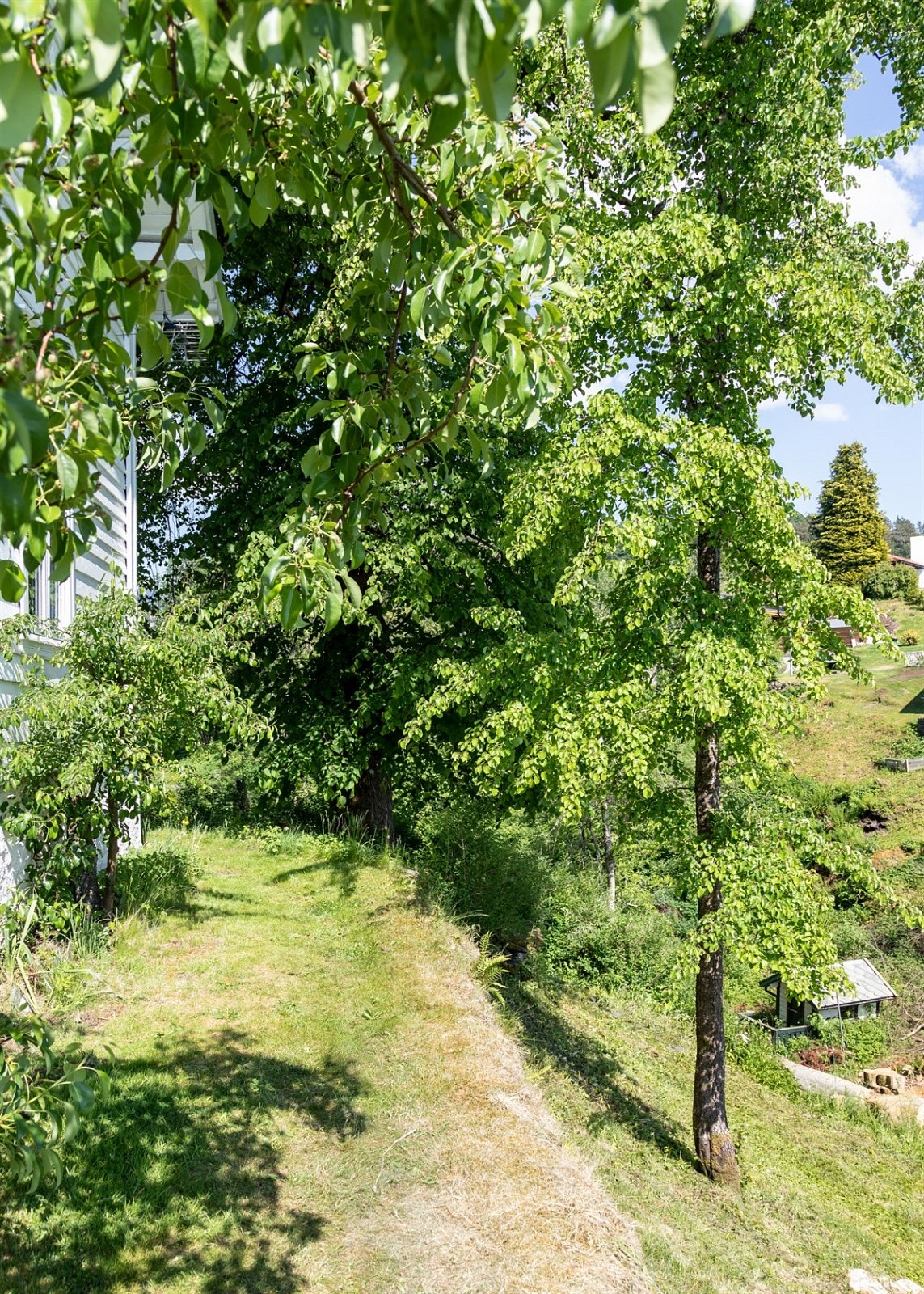 Proaktiv Eiendomsmegling Galleribilde