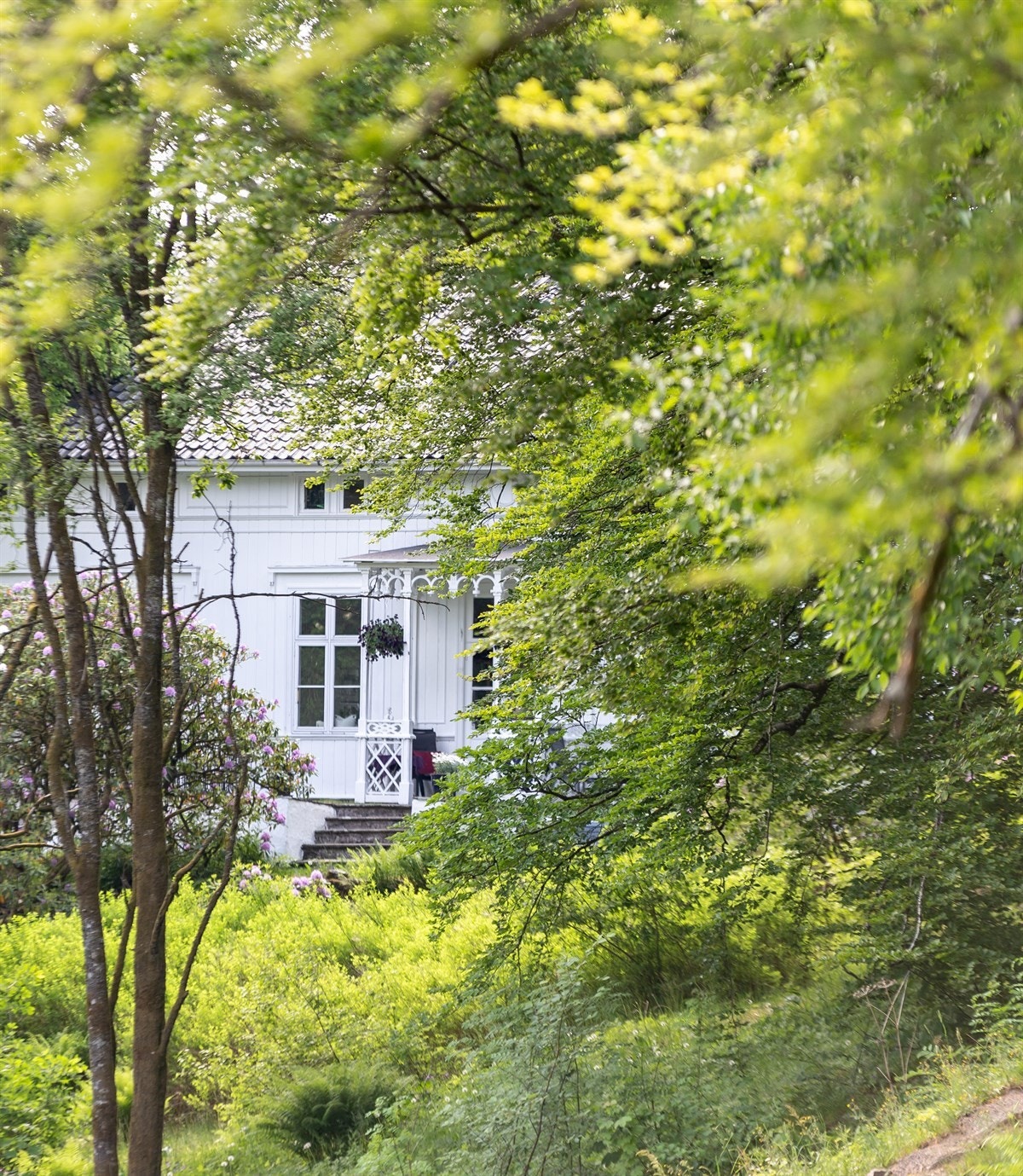 Proaktiv Eiendomsmegling - Lun og skjermet Galleribilde