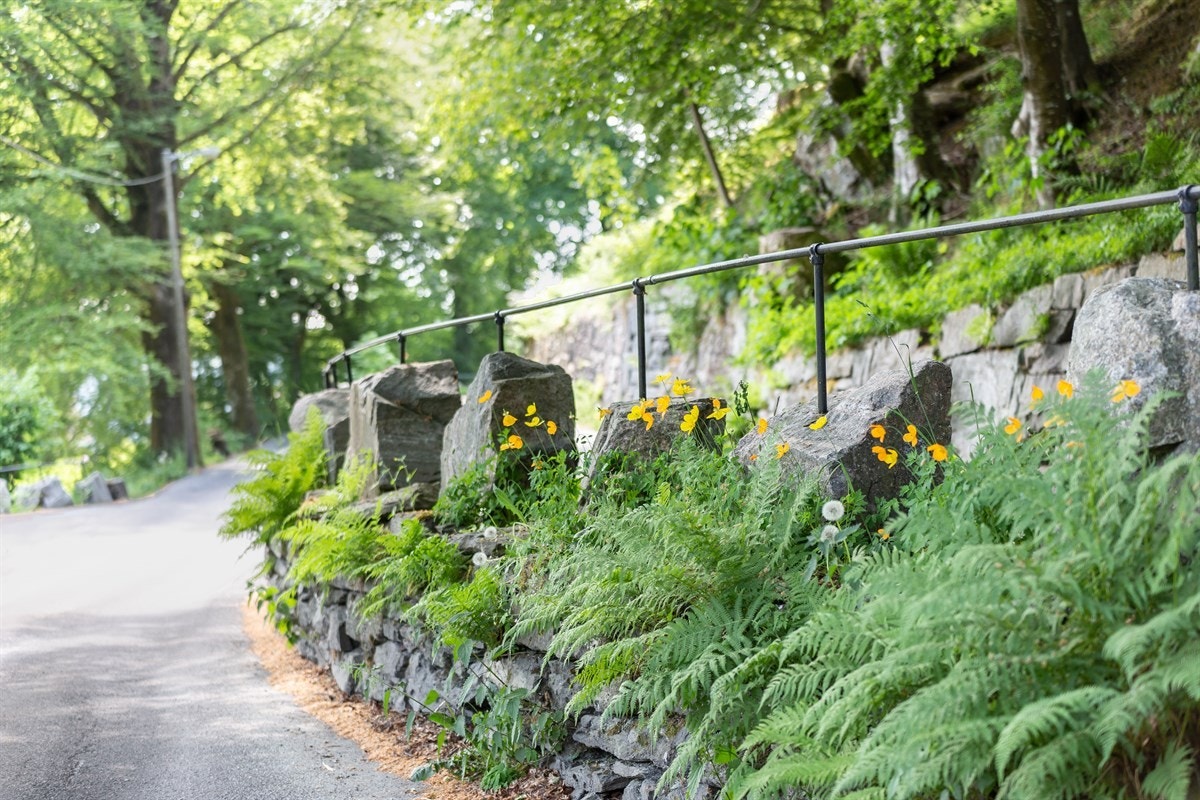 Proaktiv Eiendomsmegling - nærområdet Galleribilde