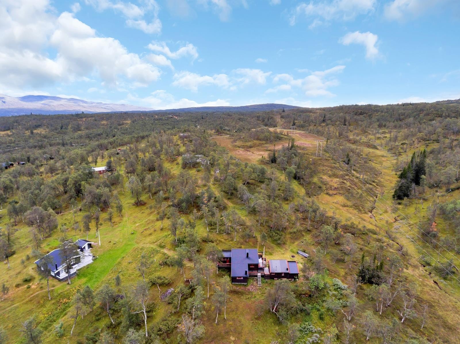 Oversiktsbilde Galleribilde