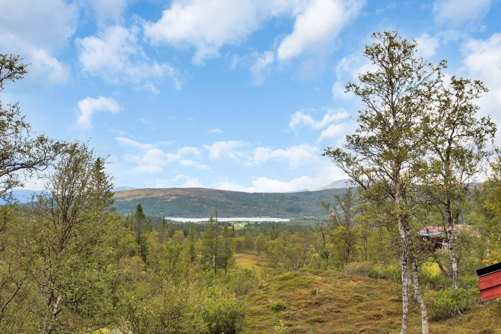 Utsikt fra terrassen Galleribilde