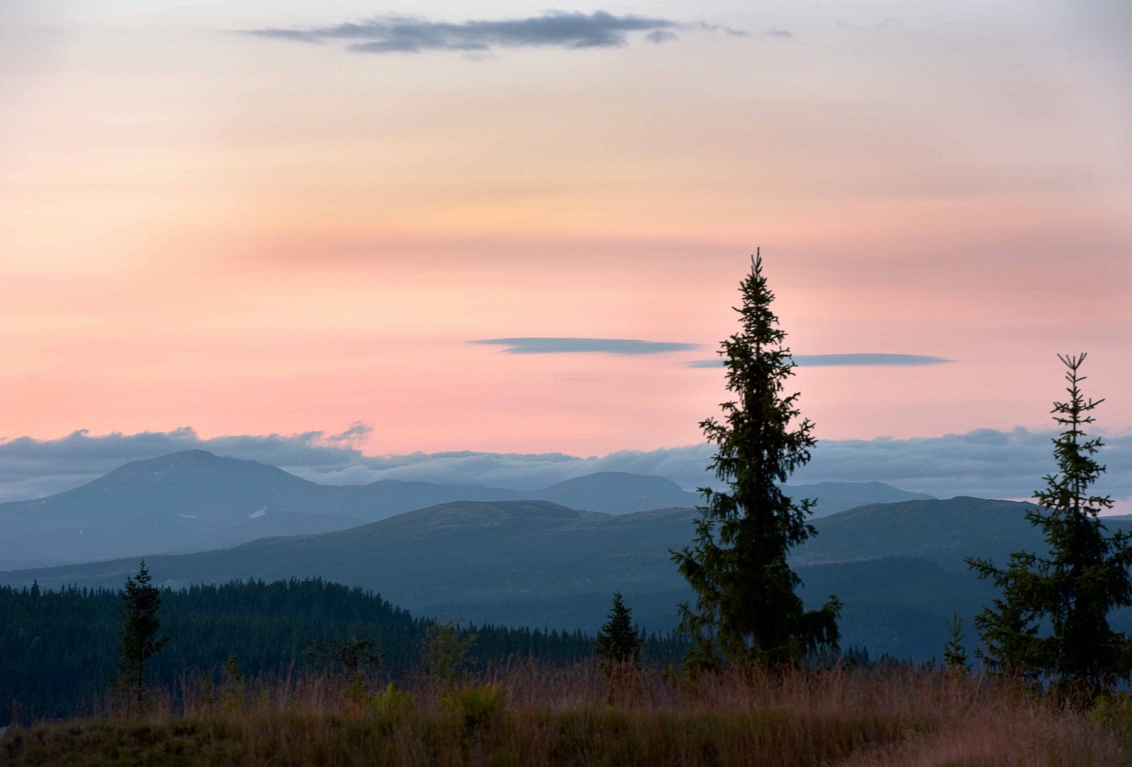 Utsikten fra området Galleribilde