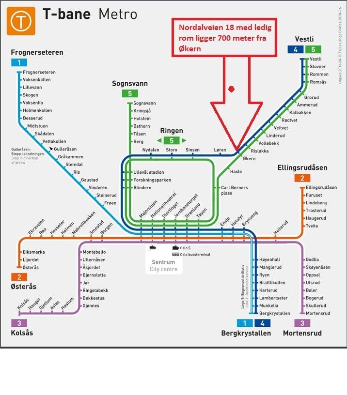 Økern er et sentralt sted, men samtidig stille og rolig. Galleribilde