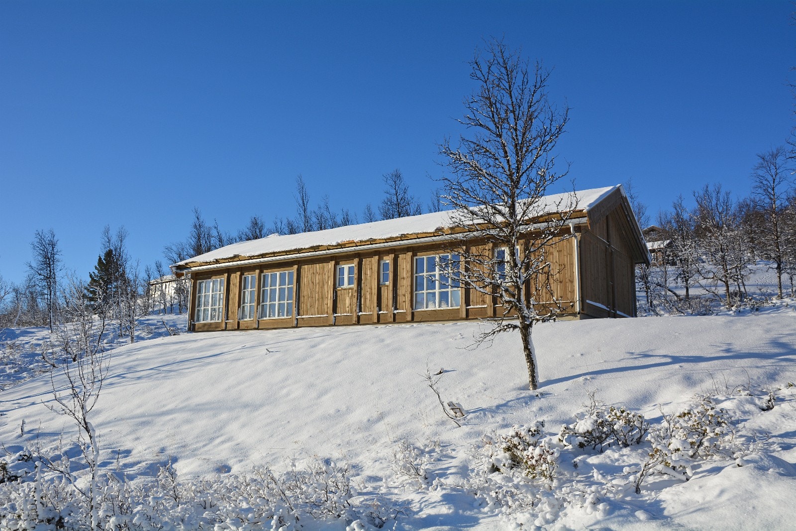 Hyttemodell Gråhø. Foto: Anne Mari Lo Galleribilde