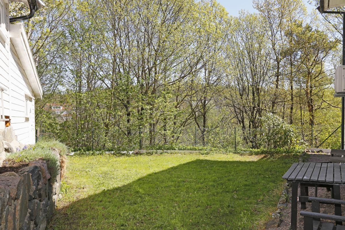 Bakhage / uteplass for hybel Galleribilde