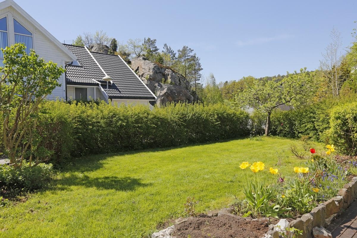 Etablert hage Galleribilde