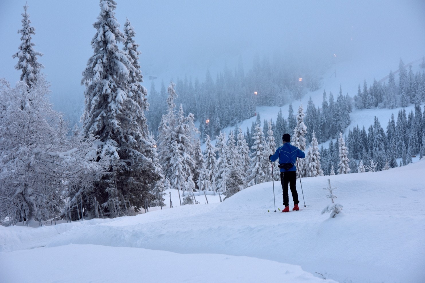 Snøsikkert områder på 850 meter høyde med tilrettelagte løyper Galleribilde