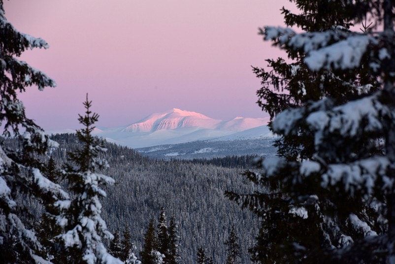Utsikten mot Rondane Galleribilde
