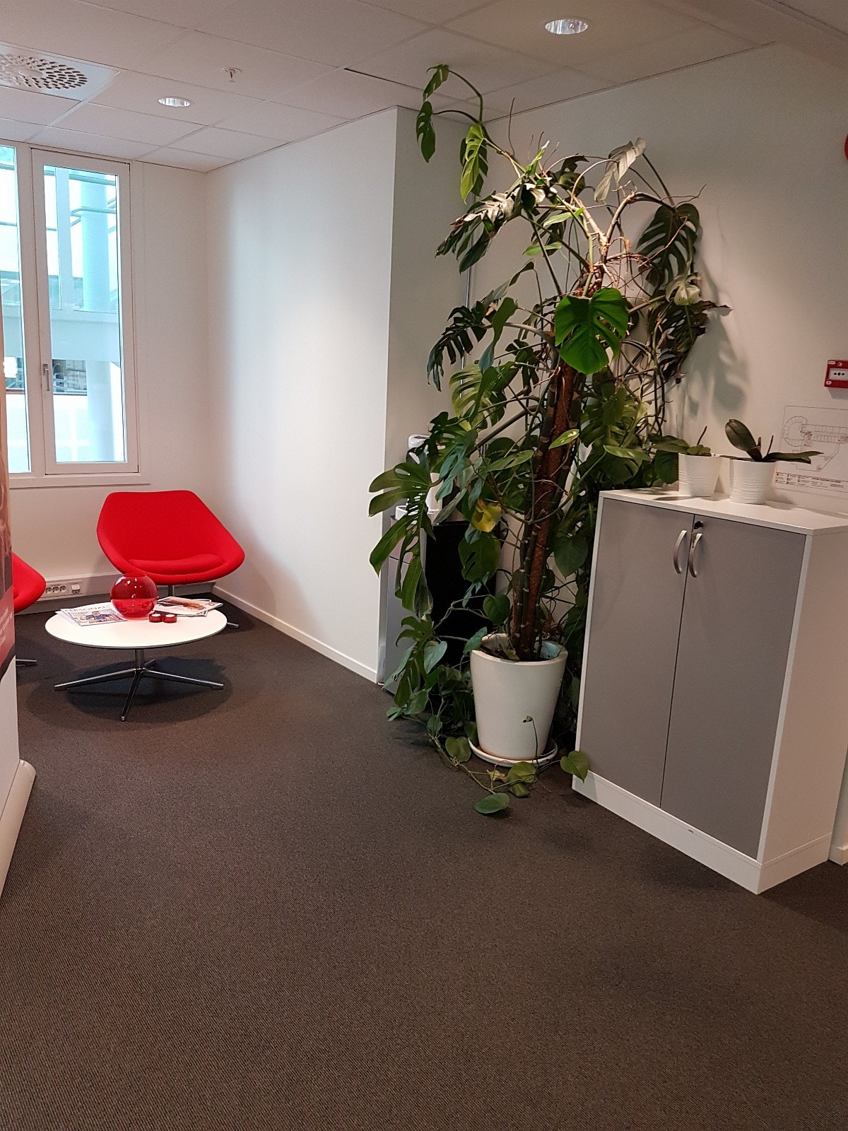 Inngangsparti i lokalene Galleribilde