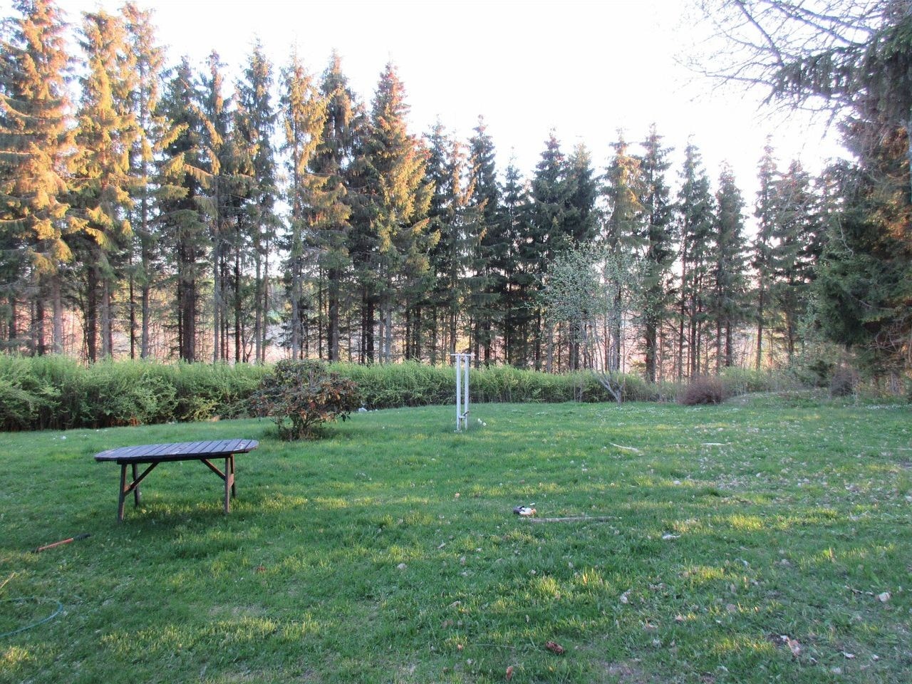 leilighet i landlige omgivelser hage, skog Galleribilde