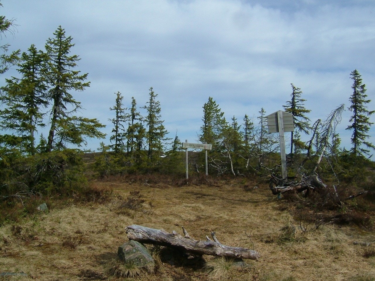 Henningvola Galleribilde