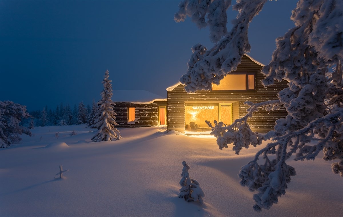 Rosmlig tomt med diverse naturbeplantning ute. Galleribilde