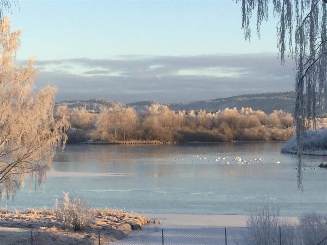 Flott utsikt over Nitelva. Galleribilde