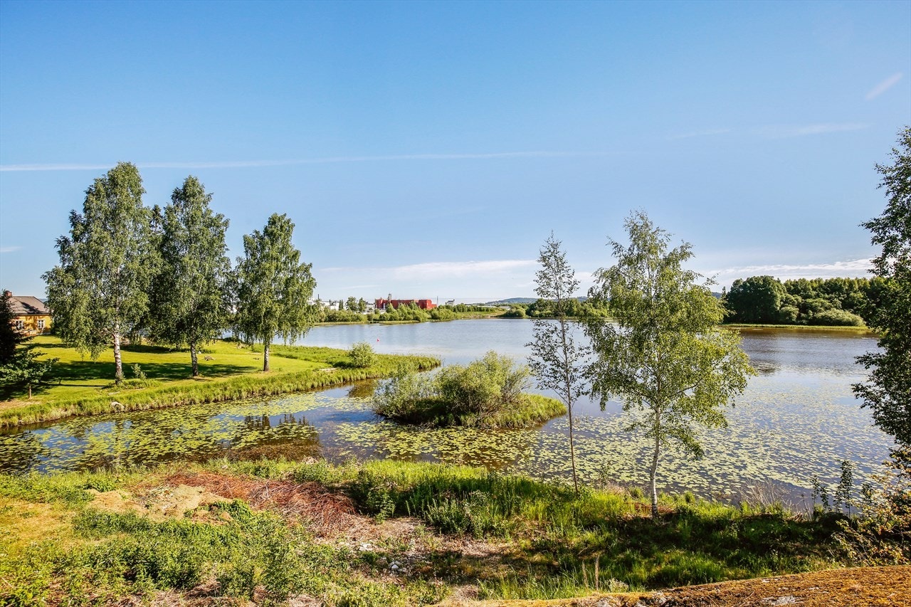 Utsikt. Galleribilde