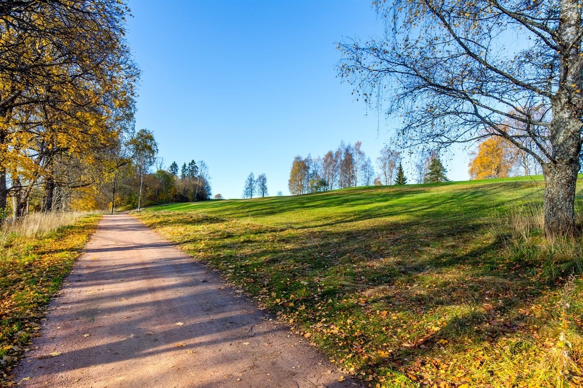 En rekke turstier i områdene rundt Bogstad. Galleribilde