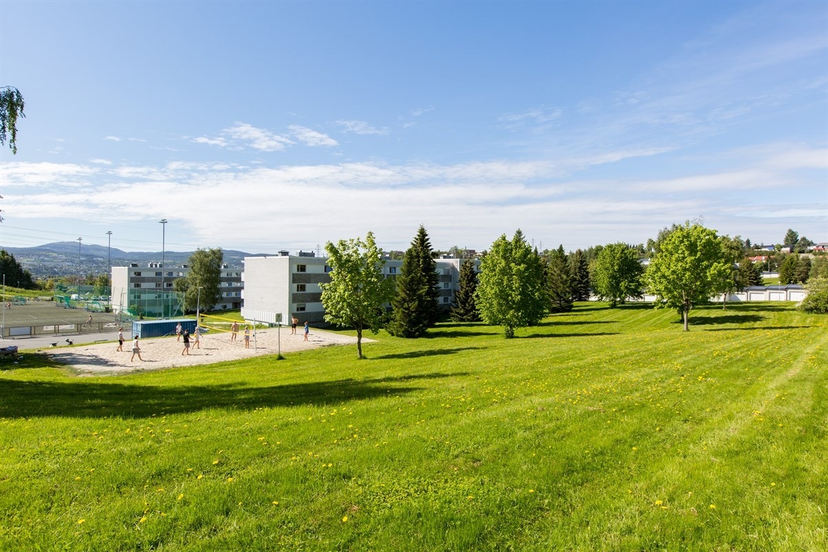 Umiddelbar adkomst til flott idrettsanlegg med kunstgressbane og volleyballbane. Galleribilde