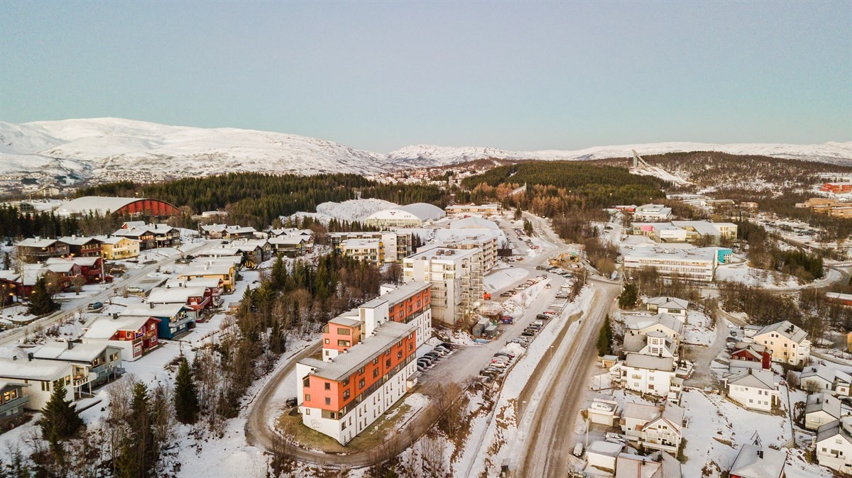 Området