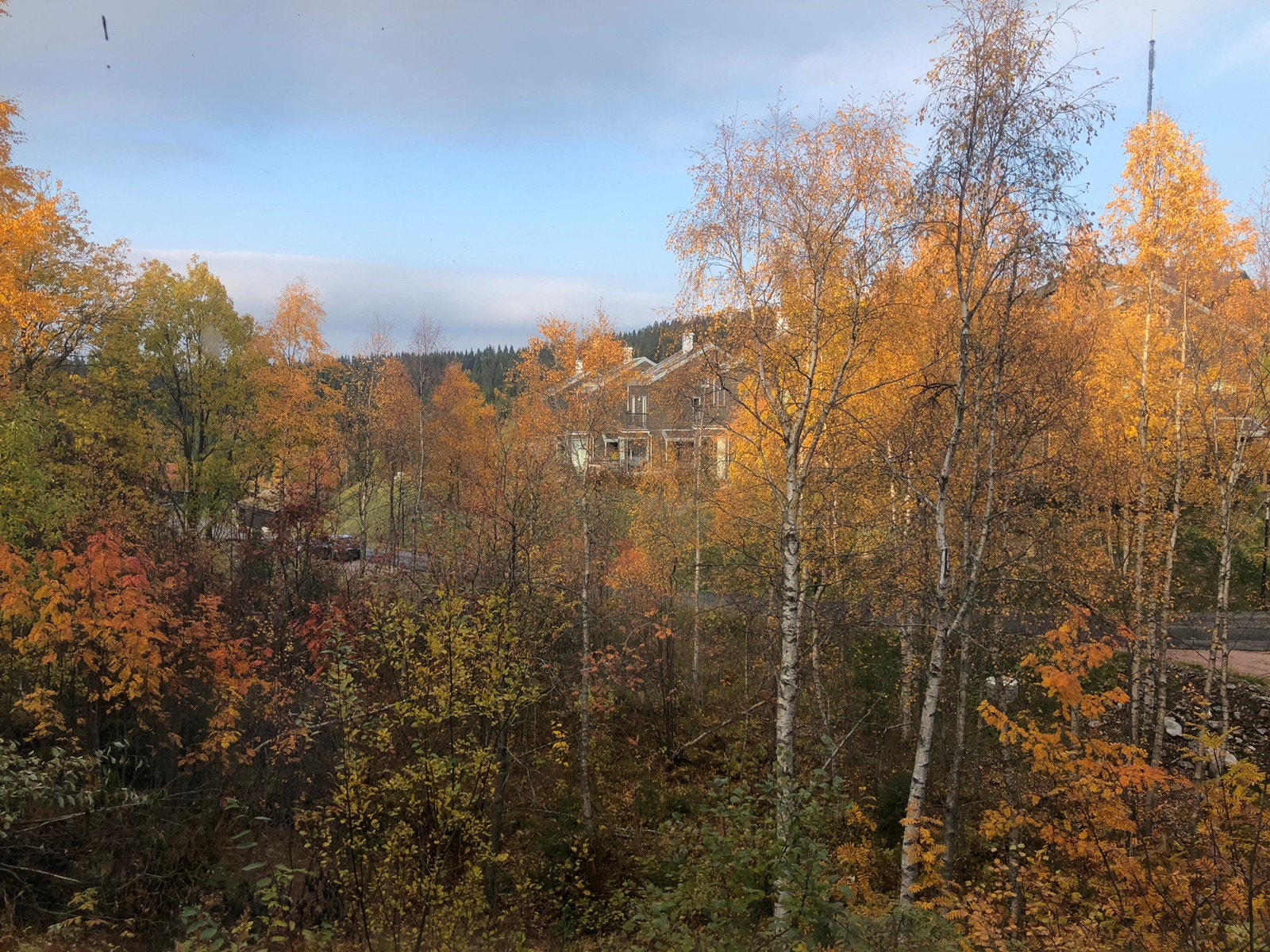 Utsikt fra stue/ kjøkken på høsten Galleribilde