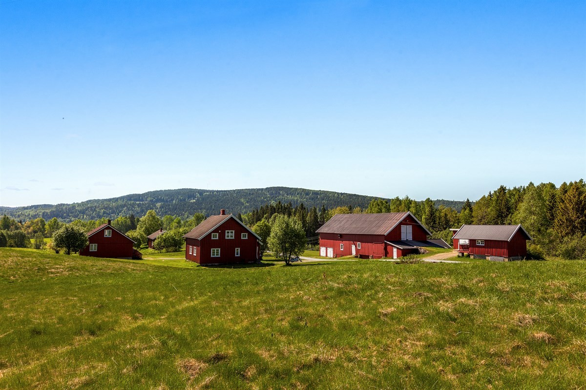 Velkommen til Berg gård - Herlig småbruksidyll i hovedstaden, med velholdt våningshus, låve, anneks og dobbelgarasje - Presentert av Stian Holmen-Jensen