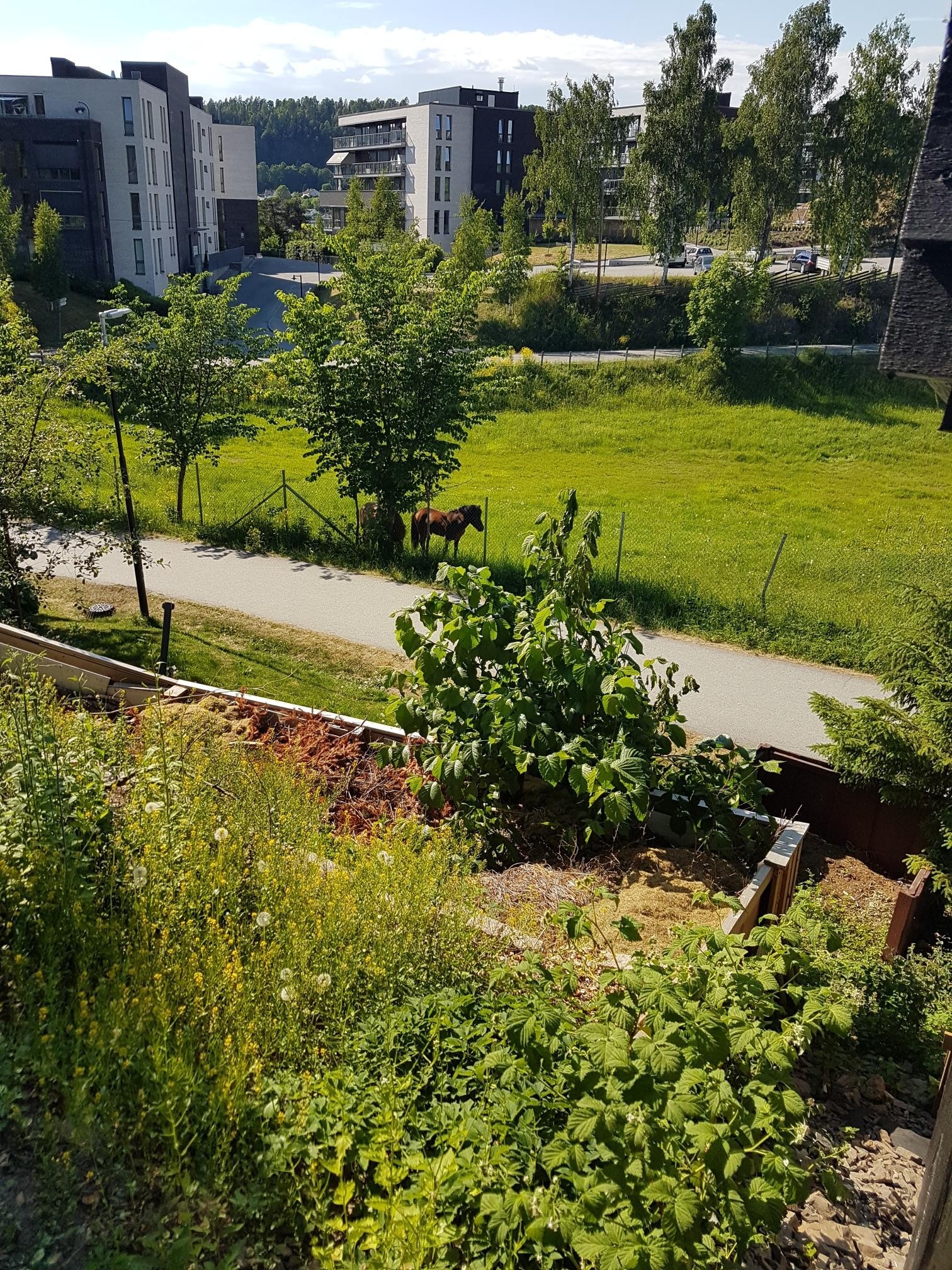 Nærområdet Galleribilde