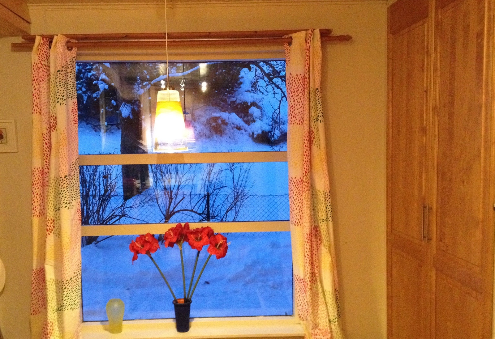 Ingen gjenboere. Utsikt til hage Galleribilde