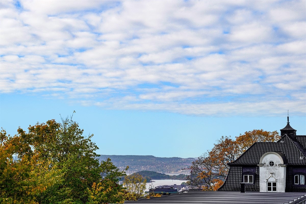 Utsikt mot fjorden fra arken. Galleribilde