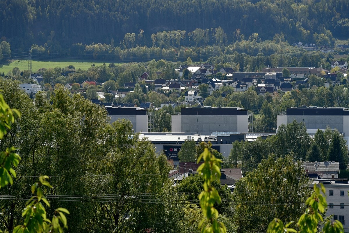 Utsikt. Galleribilde