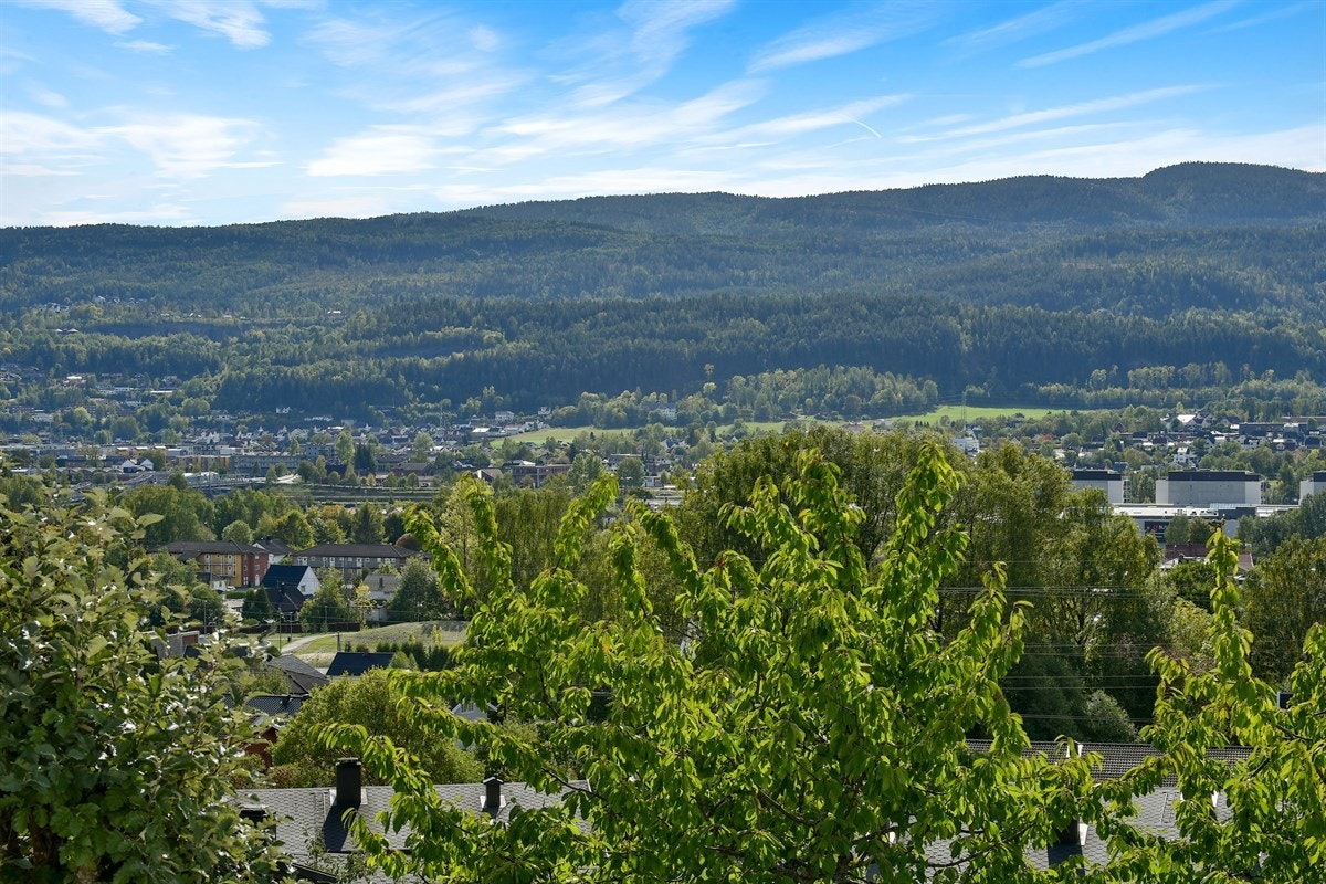 Utsikt. Galleribilde