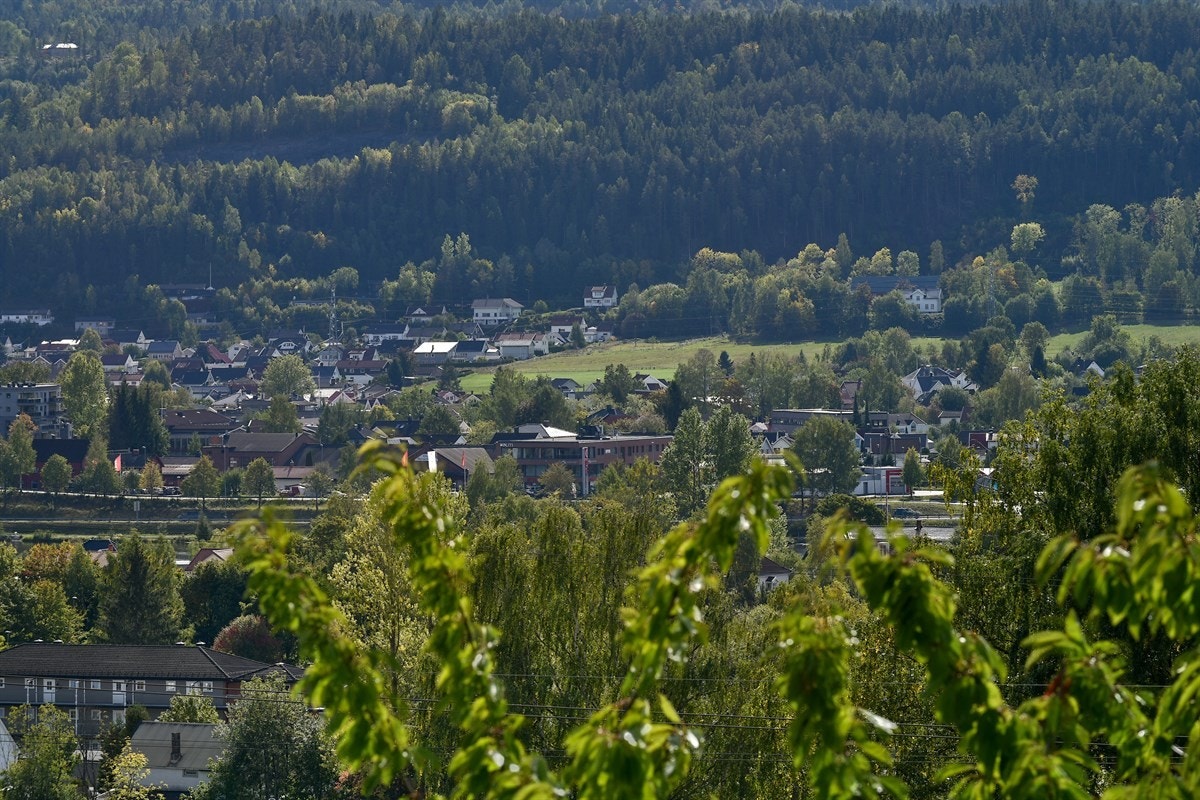 Utsikt. Galleribilde